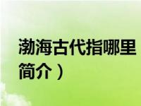 渤海古代指哪里（渤海国-古代少数民族政权简介）