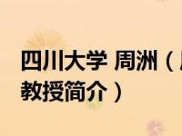 四川大学 周洲（周洲-四川大学华西药学院副教授简介）
