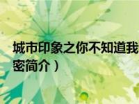 城市印象之你不知道我的秘密（城市映像之你不知道我的秘密简介）