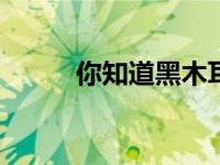 你知道黑木耳吗（[黑]木耳简介）