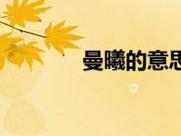 曼曦的意思（蔓蔓曦尧简介）