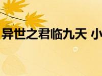 异世之君临九天 小说（异世之君临天下简介）