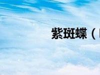 紫斑蝶（咖玛紫斑蝶简介）