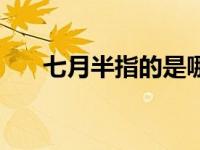 七月半指的是哪段时间（七月半简介）