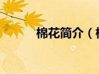 棉花简介（棉花-网络用语简介）