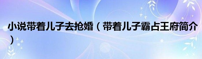 小说带着儿子去抢婚（带着儿子霸占王府简介）