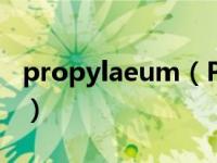 propylaeum（Promotesh Das Pulak简介）