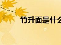 竹升面是什么做的（竹升面简介）