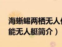 海蜥蜴两栖无人作战艇（海蜥蜴-水陆两栖智能无人艇简介）
