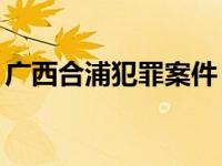 广西合浦犯罪案件（11广西合浦杀人案简介）