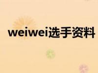 weiwei选手资料（weiwei 法国慢摇简介）