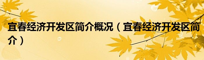 宜春经济开发区简介概况（宜春经济开发区简介）