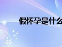 假怀孕是什么意思?（假怀孕简介）
