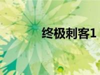 终极刺客1（新终极刺客简介）