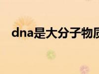 dna是大分子物质吗（大分子G蛋白简介）