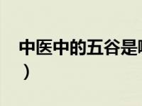 中医中的五谷是哪五谷（五谷-中医术语简介）