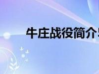 牛庄战役简介50字（牛庄战役简介）