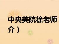 中央美院徐老师（徐海-中央美术学院教授简介）