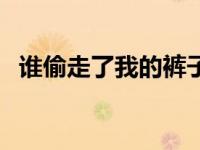 谁偷走了我的裤子（谁偷了我的内裤简介）