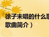 徐子未唱的什么歌（模仿-2021年徐子未演唱歌曲简介）