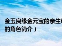 金玉良缘金元宝的亲生母亲（金元宝-电视剧《金玉良缘》中的角色简介）
