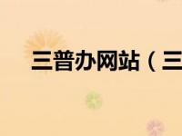 三普办网站（三普药业 [600869]简介）