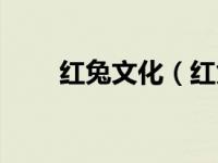 红兔文化（红兔国际游戏学院简介）