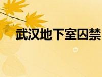 武汉地下室囚禁（武汉地牢女事件简介）