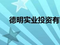 德明实业投资有限公司（德明科技简介）