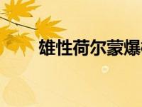 雄性荷尔蒙爆棚（雄性荷尔蒙简介）