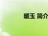 暖玉 简介（暖玉种田简介）
