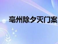 亳州除夕灭门案（安徽亳州灭门案简介）