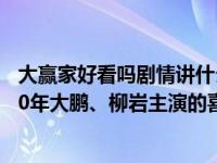大赢家好看吗剧情讲什么大鹏柳岩等演员主演（大赢家-2020年大鹏、柳岩主演的喜剧电影简介）