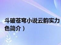 斗破苍穹小说云韵实力（云韵-玄幻小说《斗破苍穹》中的角色简介）