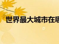 世界最大城市在哪（世界最大城市带简介）