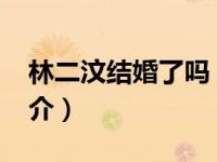 林二汶结婚了吗（林二汶-林二汶同名专辑简介）