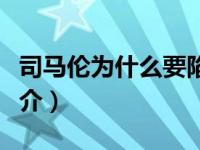 司马伦为什么要陷害司马师（罪状司马师表简介）