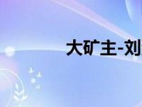 大矿主-刘汉勋著作小说简介