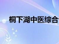 桐下湖中医综合诊所怎么样（桐下简介）