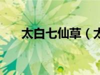 太白七仙草（太白七药原色图鉴简介）