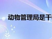 动物管理局是干嘛的（动物管理局简介）