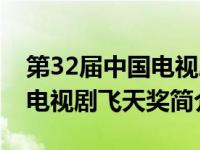 第32届中国电视剧飞天奖视频（第28届中国电视剧飞天奖简介）