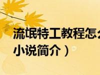 流氓特工教程怎么过（流氓特工-凌云文学网小说简介）
