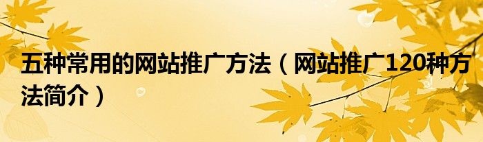 五种常用的网站推广方法（网站推广120种方法简介）