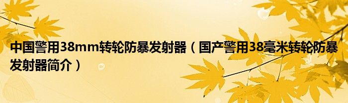 中国警用38mm转轮防暴发射器（国产警用38毫米转轮防暴发射器简介）