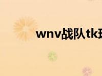 wnv战队tk现状（wNv.tK简介）