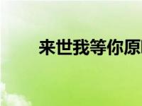 来世我等你原唱（来世还等你简介）