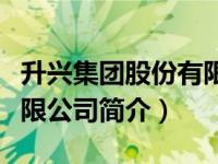 升兴集团股份有限公司简介（昇兴集团股份有限公司简介）