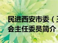 民进西安市委（王选-民革西安市第七届委员会主任委员简介）