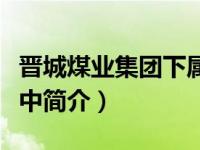 晋城煤业集团下属煤矿（晋城煤业集团职业高中简介）